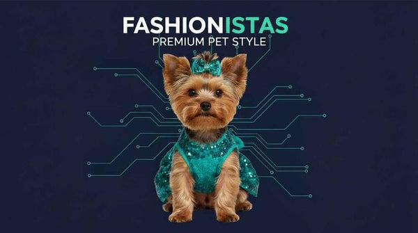Fashionistas