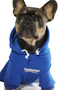 Stylish Blue Dog Sweatshirt Tracksuit for Small to Medium Pets - Includes Cat Hoodies and Dog Outfits (Size XL)