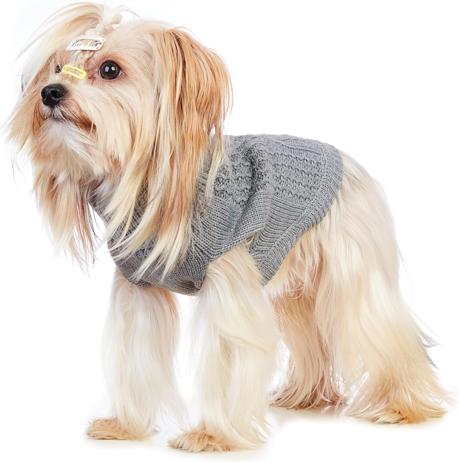 Stretchy Cat Sweater - Available in 19 Colors and 6 Sizes for a Cozy Winter Outfit for Cats and Dogs