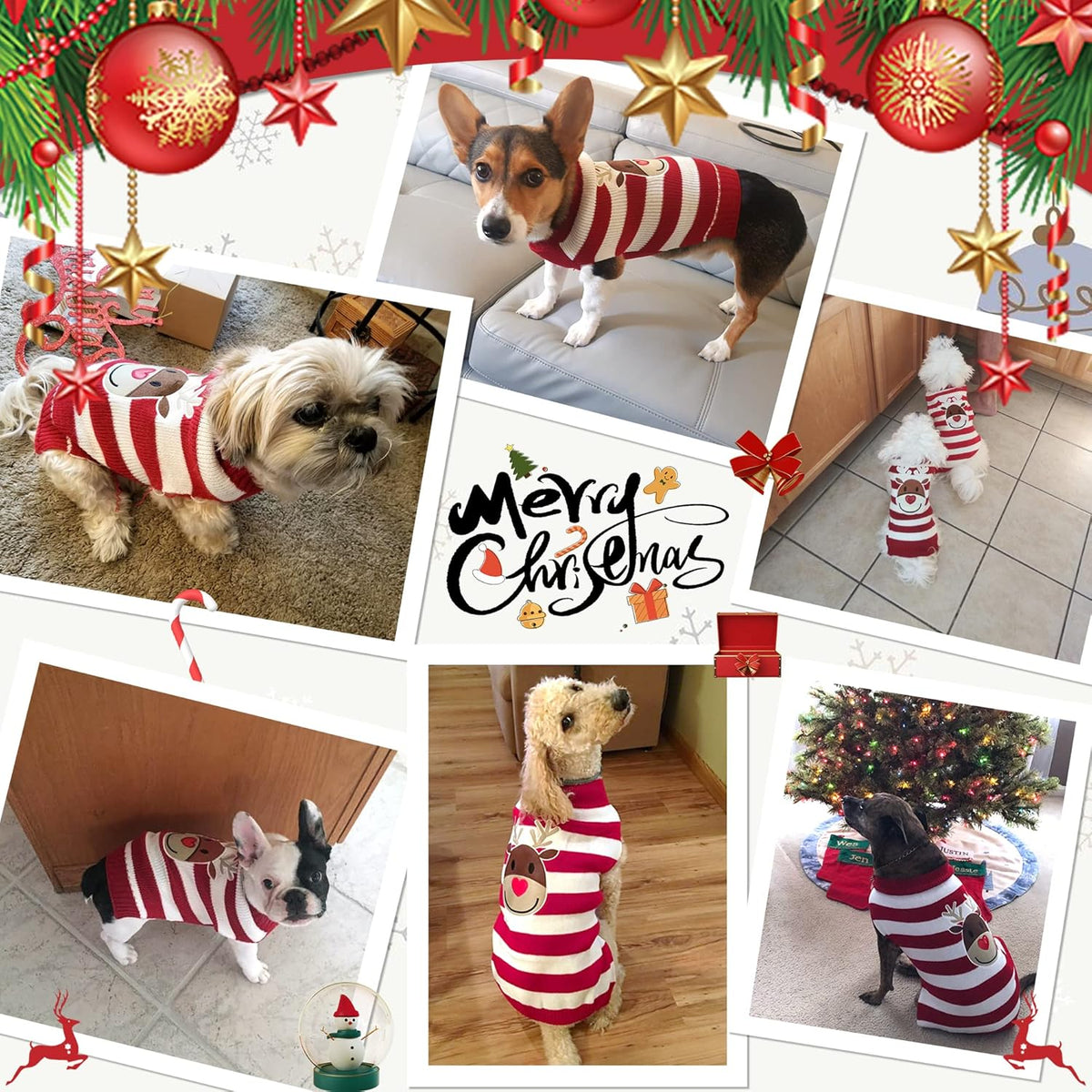 Reindeer Sweater for Dogs and Cats - Holiday Pet Apparel for Small Breeds (Red, X-Small)
