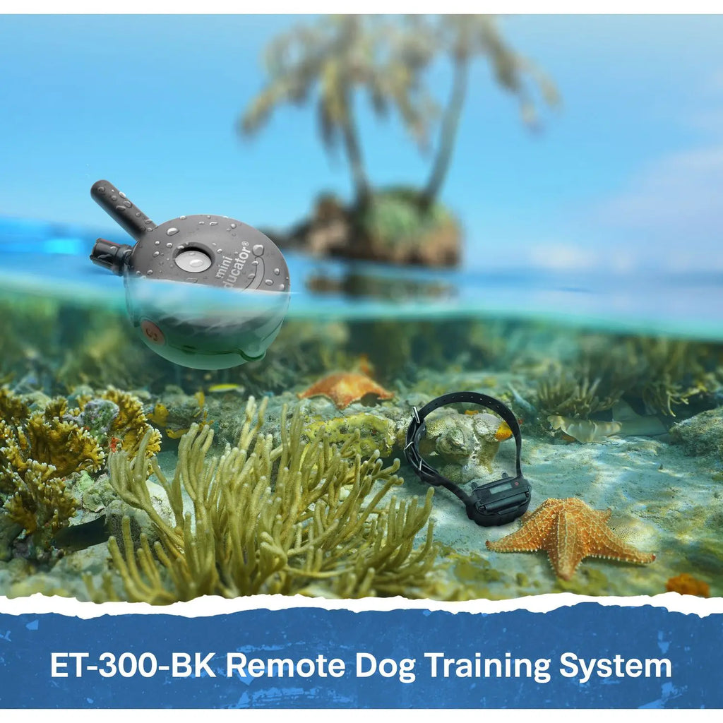 Mini Educator ET-300 Remote Dog Training Collar Black by E-Collar Technologies | 1/2 Mile Range Waterproof Biothane Collar with LED Light – 1–100 Wide Pulse Stimulation Levels – Behavior Control Tool for Dogs 8 Lbs+
