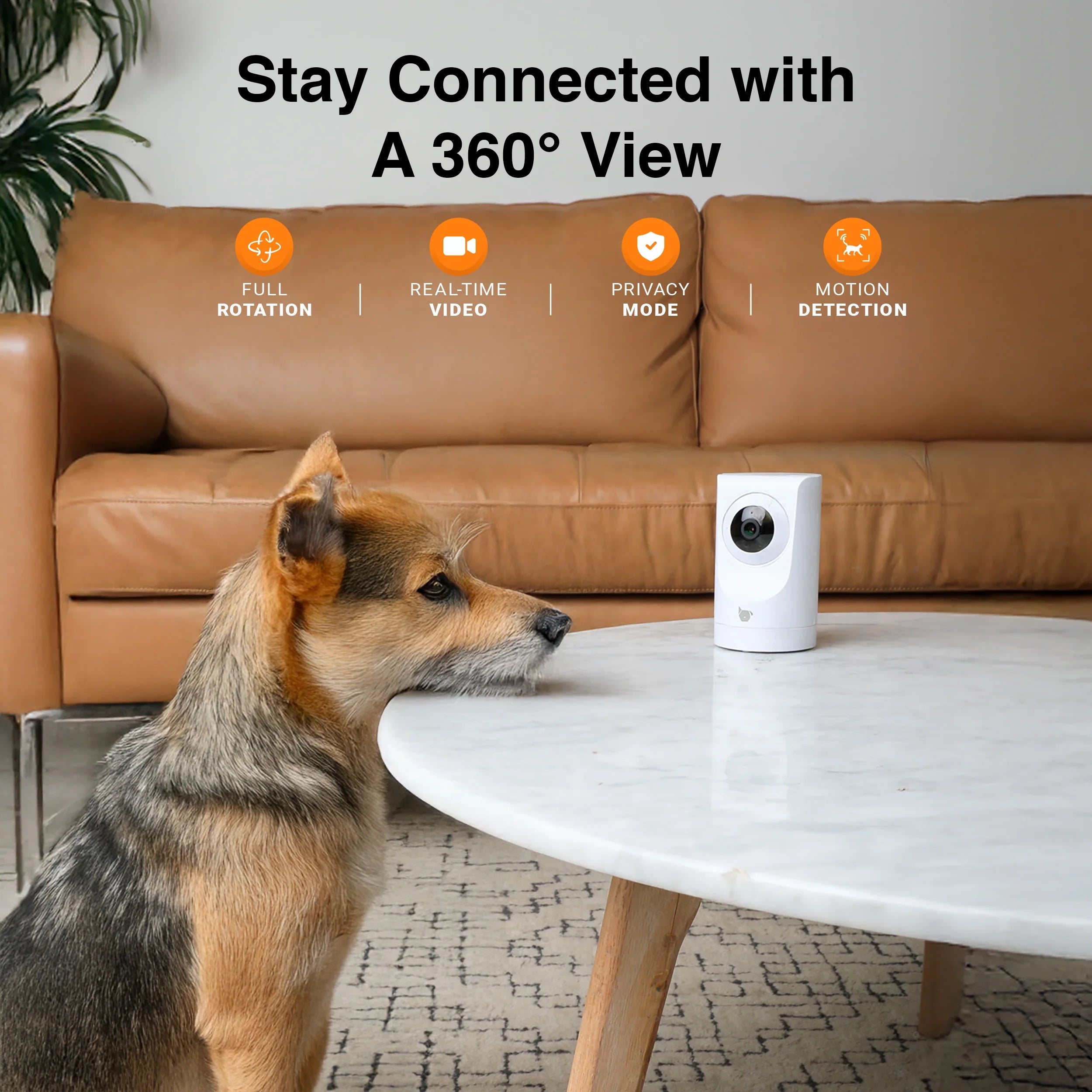 Purrsight 360° Smart Pet Camera, 1080P HD, Wireless, 2-Way Audio