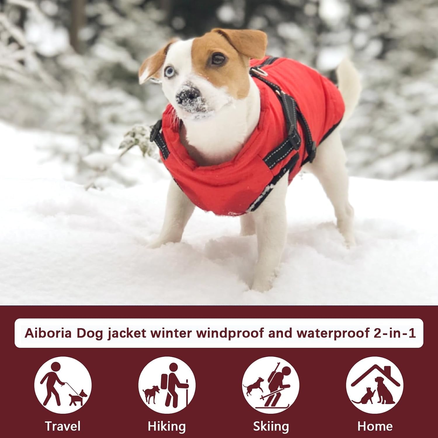 2-in-1 Windproof and Waterproof Dog Jacket for Winter - Cold Weather Coat with Harness, Purple, Size S