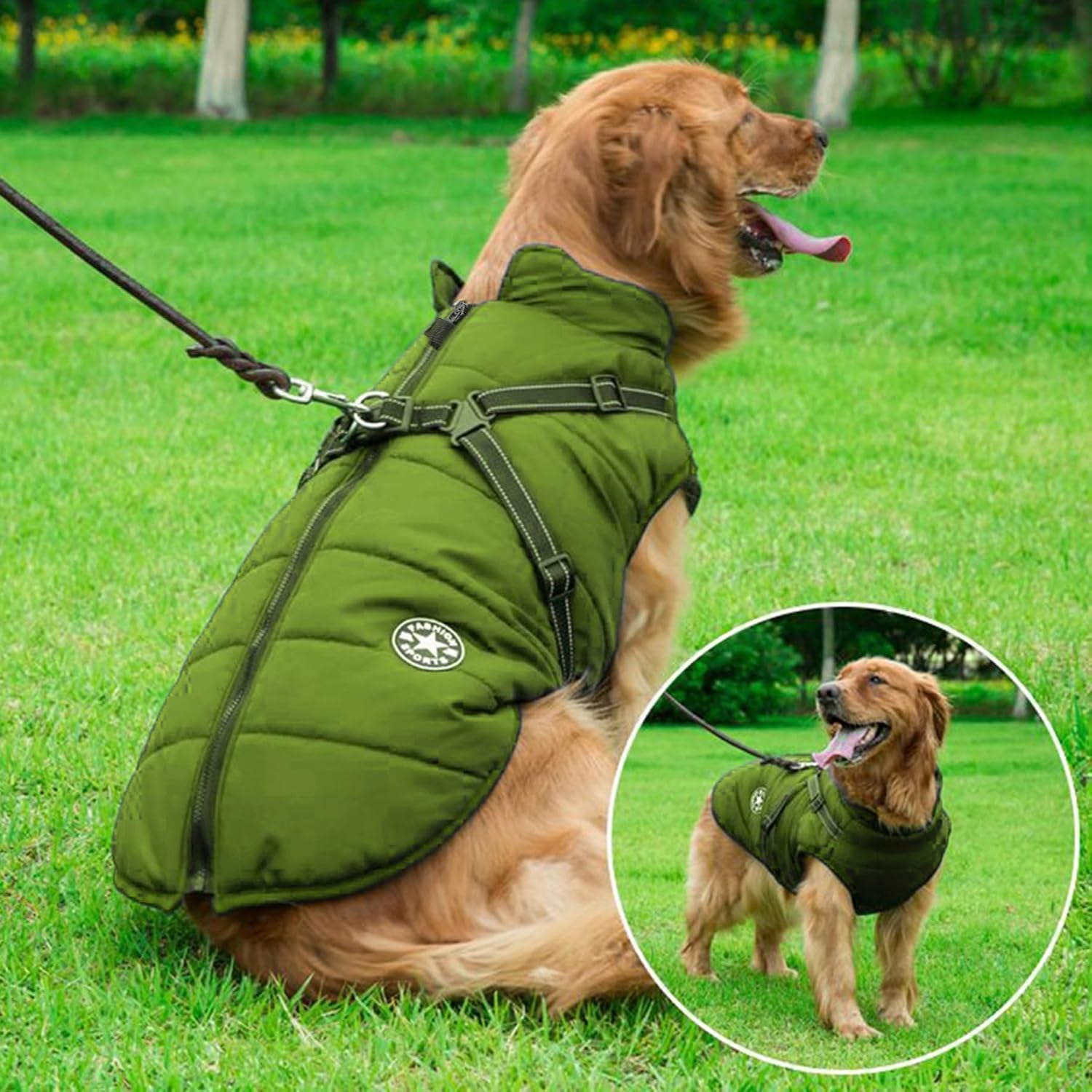 2-in-1 Winter Dog Jacket - Windproof and Waterproof Cold Weather Coat with Harness for Small Dogs - XL Green