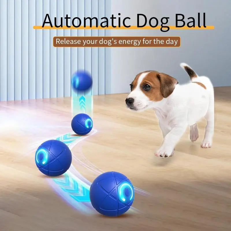Shaky Ball Toy for Dogs, Vibrating Dog Ball, Shaky Ball Dog Toy, Automatic Movement/Bounce/Scrolll, Vibrating Ball for Dogs for Small Dogs