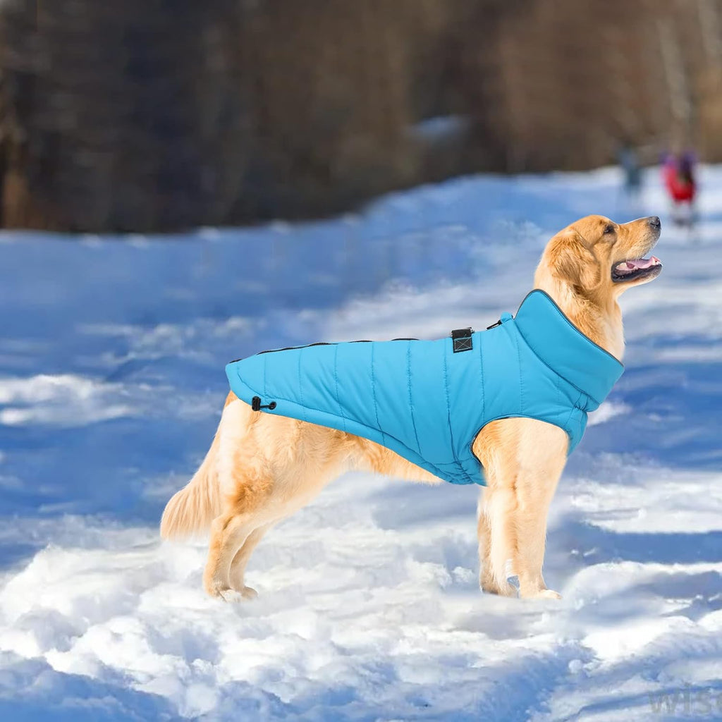 Windproof and Snowproof Winter Coat for Dogs - Outdoor Jacket in Blue for Small, Medium, and Large Breeds - Size M