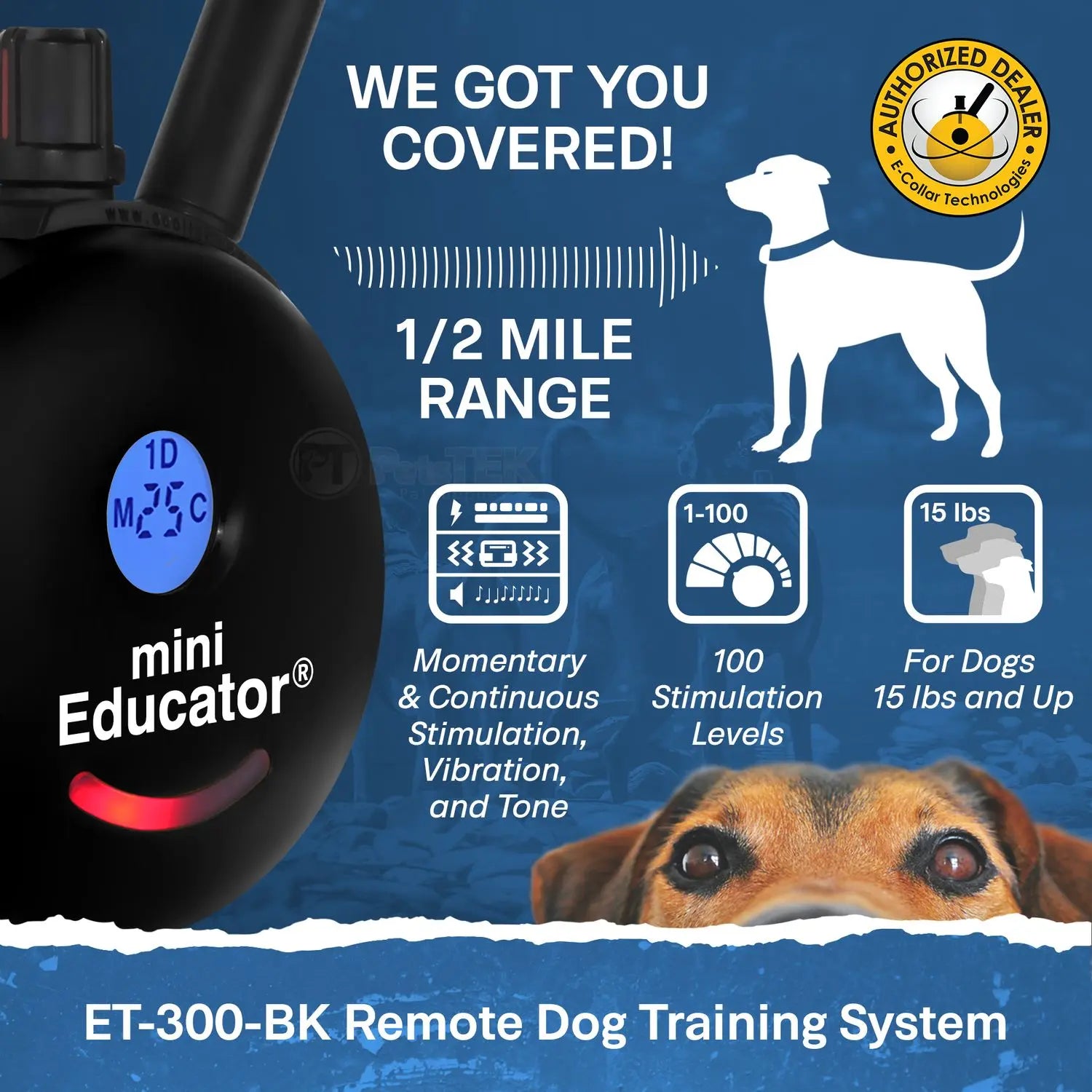 Mini Educator ET-300 Remote Dog Training Collar Black by E-Collar Technologies | 1/2 Mile Range Waterproof Biothane Collar with LED Light – 1–100 Wide Pulse Stimulation Levels – Behavior Control Tool for Dogs 8 Lbs+