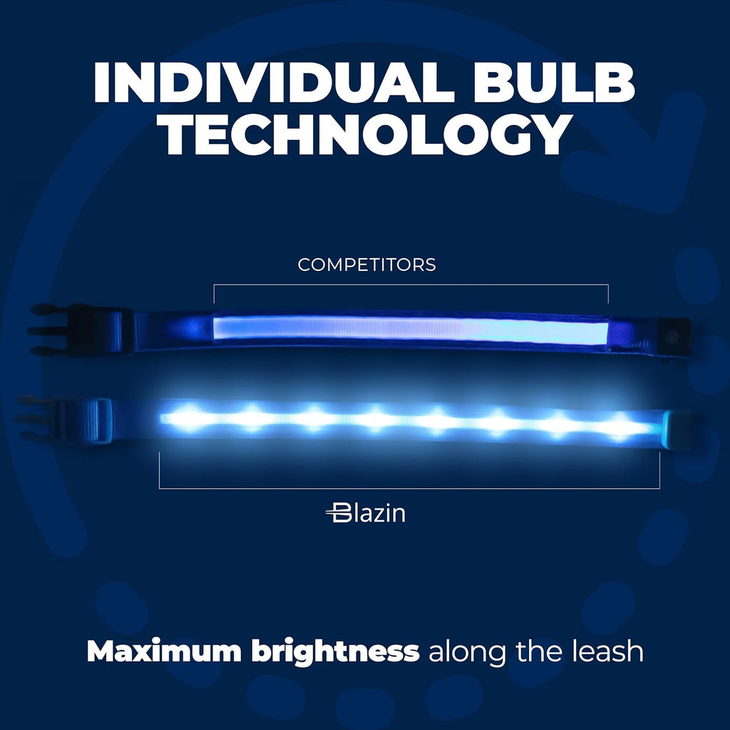 Light up Dog Leash - 1,000 Feet of Visibility - USB Rechargeable Waterproof Glow in the Dark Dog Leash - 4 Foot, Purple