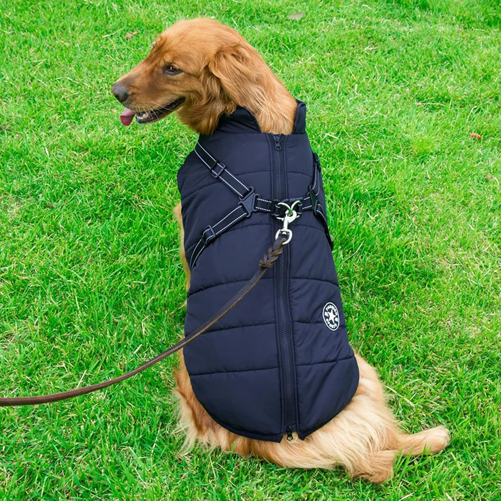 2-in-1 Windproof and Waterproof Dog Jacket for Winter - Cold Weather Coat with Harness, Small Blue L