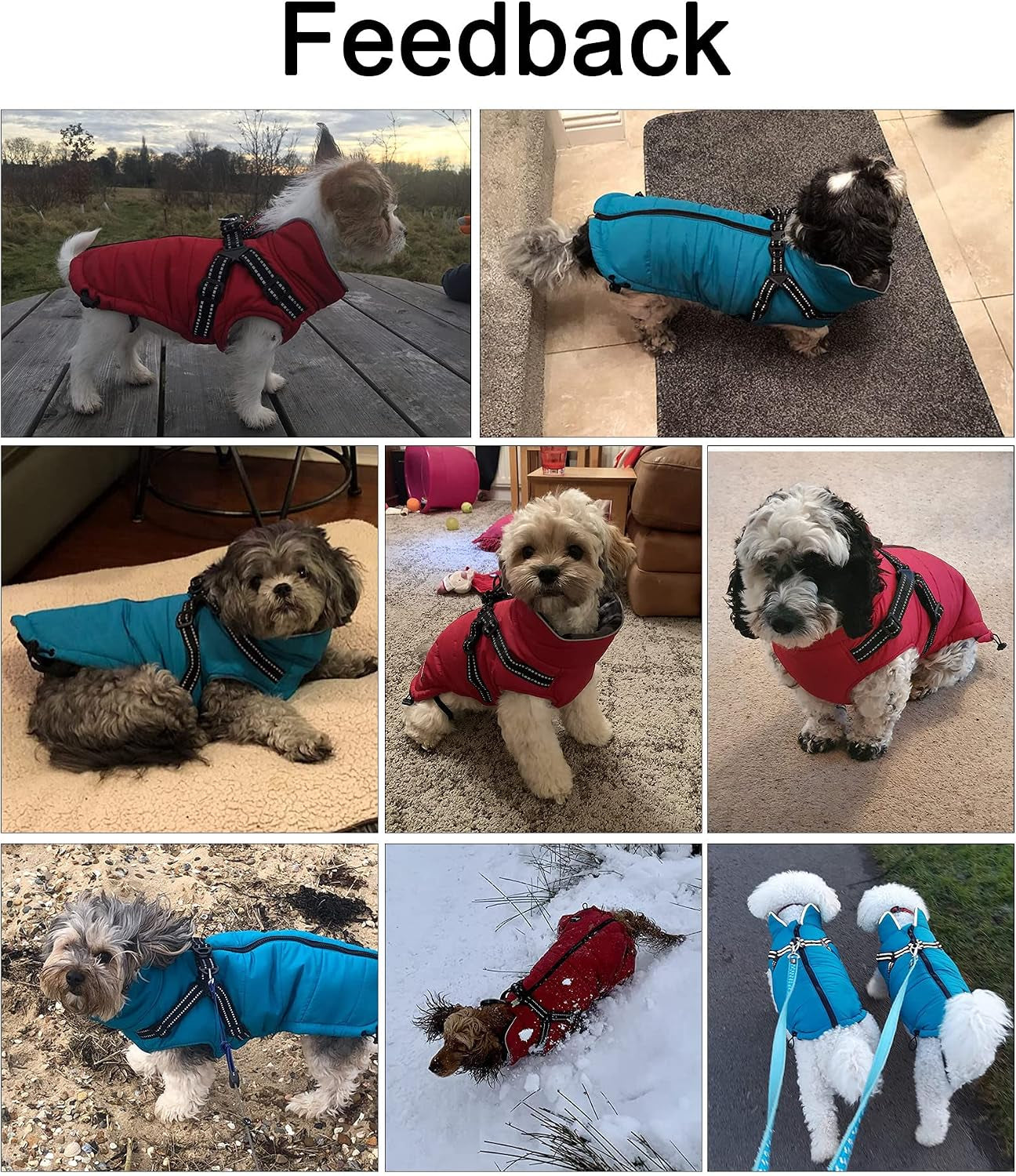 Waterproof Winter Coat for Dogs with Harness and Traction Belt - Outdoor Jacket for Medium and Small Breeds - Navy - Size S