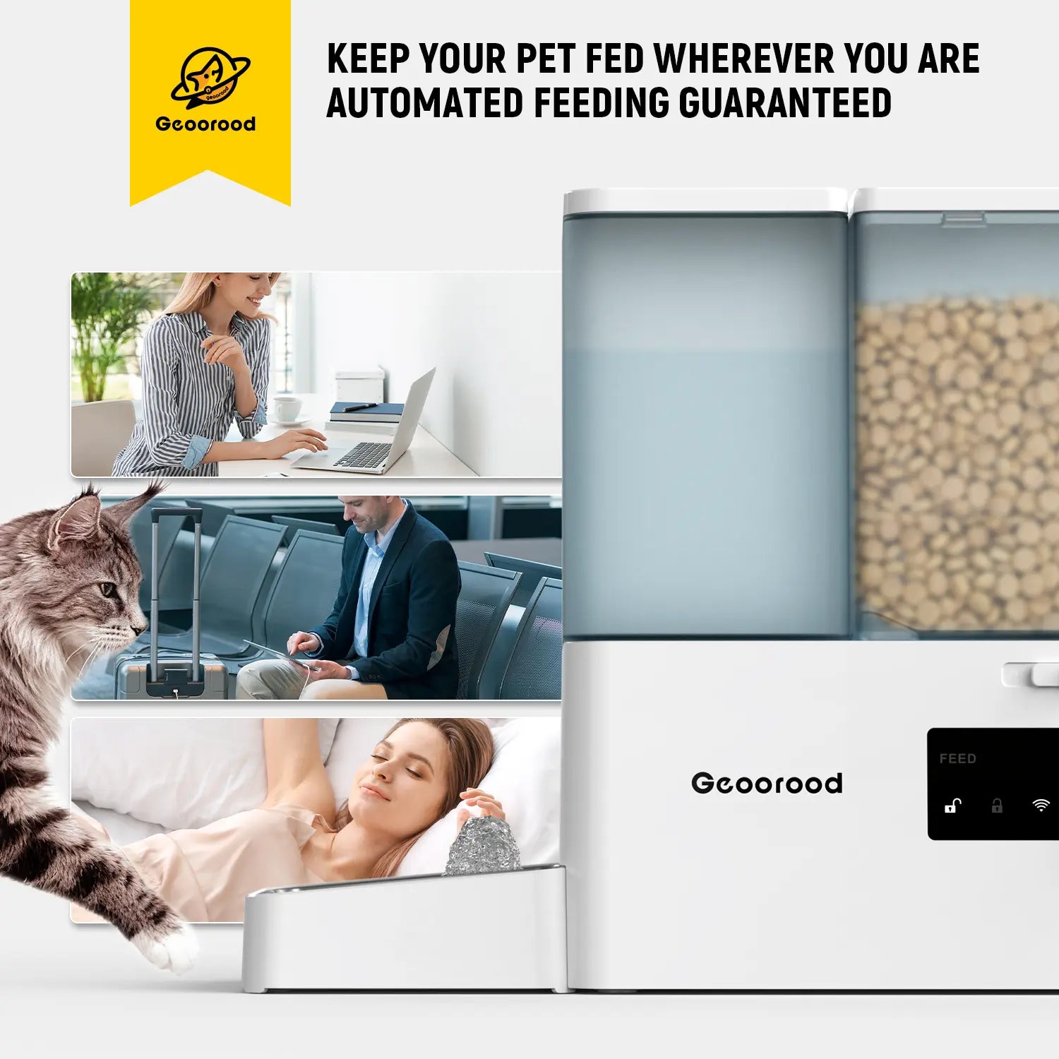 Geoorood Automatic Pet Feeder 36Cups/8.5L & Gravity Water Dispenser Stainless Steel Bowls 2-In-1 Set Large Capacity 5L Food Feeder 3.5L Water Fountain for Cats Pets Small Dogs Puppies Kittens Summervibes Petlovers