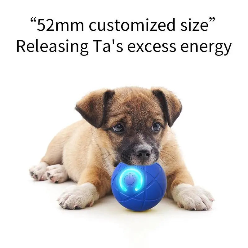 Shaky Ball Toy for Dogs, Vibrating Dog Ball, Shaky Ball Dog Toy, Automatic Movement/Bounce/Scrolll, Vibrating Ball for Dogs for Small Dogs