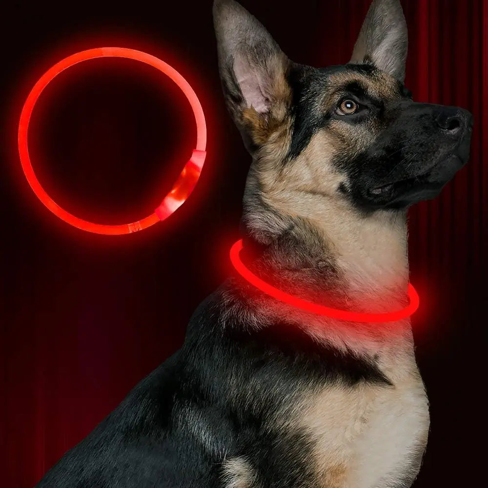 Led Dog Collar, USB Rechargeable Flash Dog Necklace Light, Pet Safety Collar Makes Your Beloved Dogs Be Seen at Night for Small Medium Large Dogs(Red/Blue)