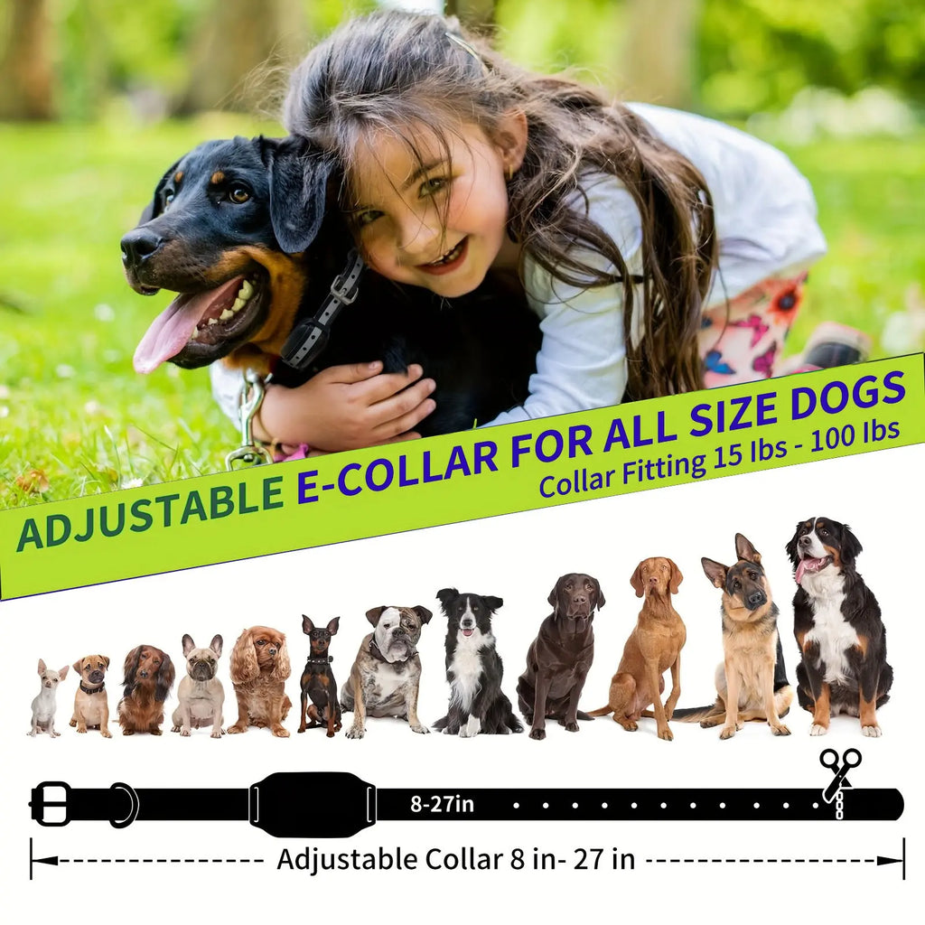 Dog Training Collar with Remote, 3300Ft Range, 3 Modes: Beep, Shock, Vibration, Rechargeable, Waterproof, Adjustable Nylon Strap, for Dogs 5-120Lbs, Training Aid, Training Gear