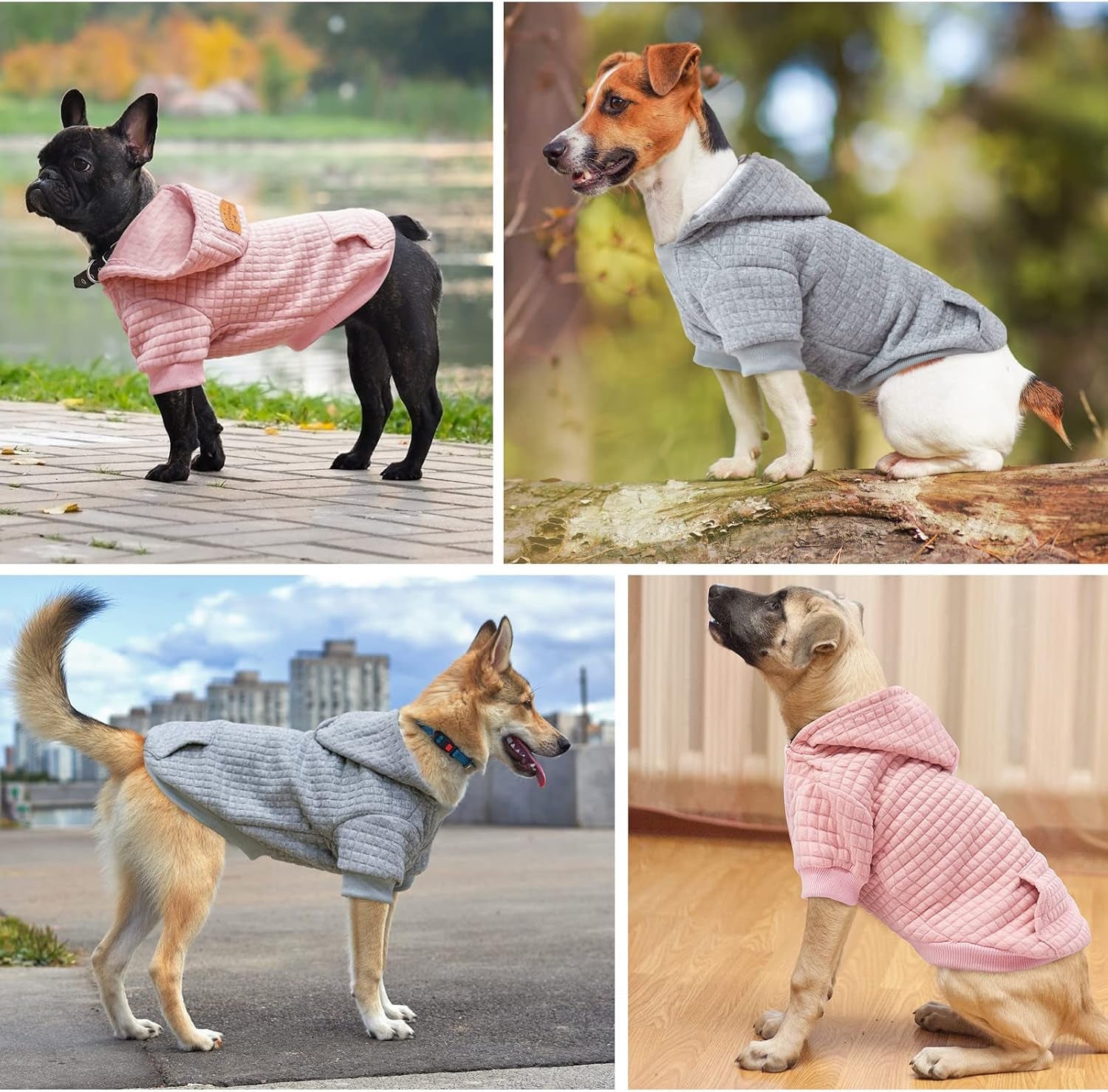 Medium Dog Hoodies Sweater with Waffle-Like Laminated Fabric