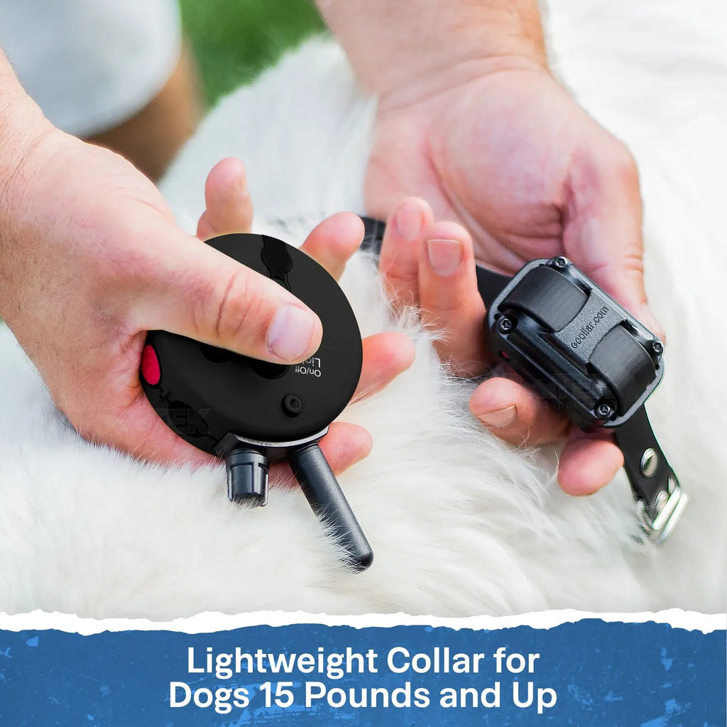 Mini Educator ET-300 Remote Dog Training Collar Black by E-Collar Technologies | 1/2 Mile Range Waterproof Biothane Collar with LED Light – 1–100 Wide Pulse Stimulation Levels – Behavior Control Tool for Dogs 8 Lbs+