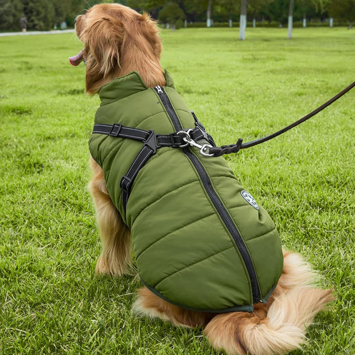 2-in-1 Winter Dog Jacket - Windproof and Waterproof Cold Weather Coat with Harness for Small Dogs - XL Green