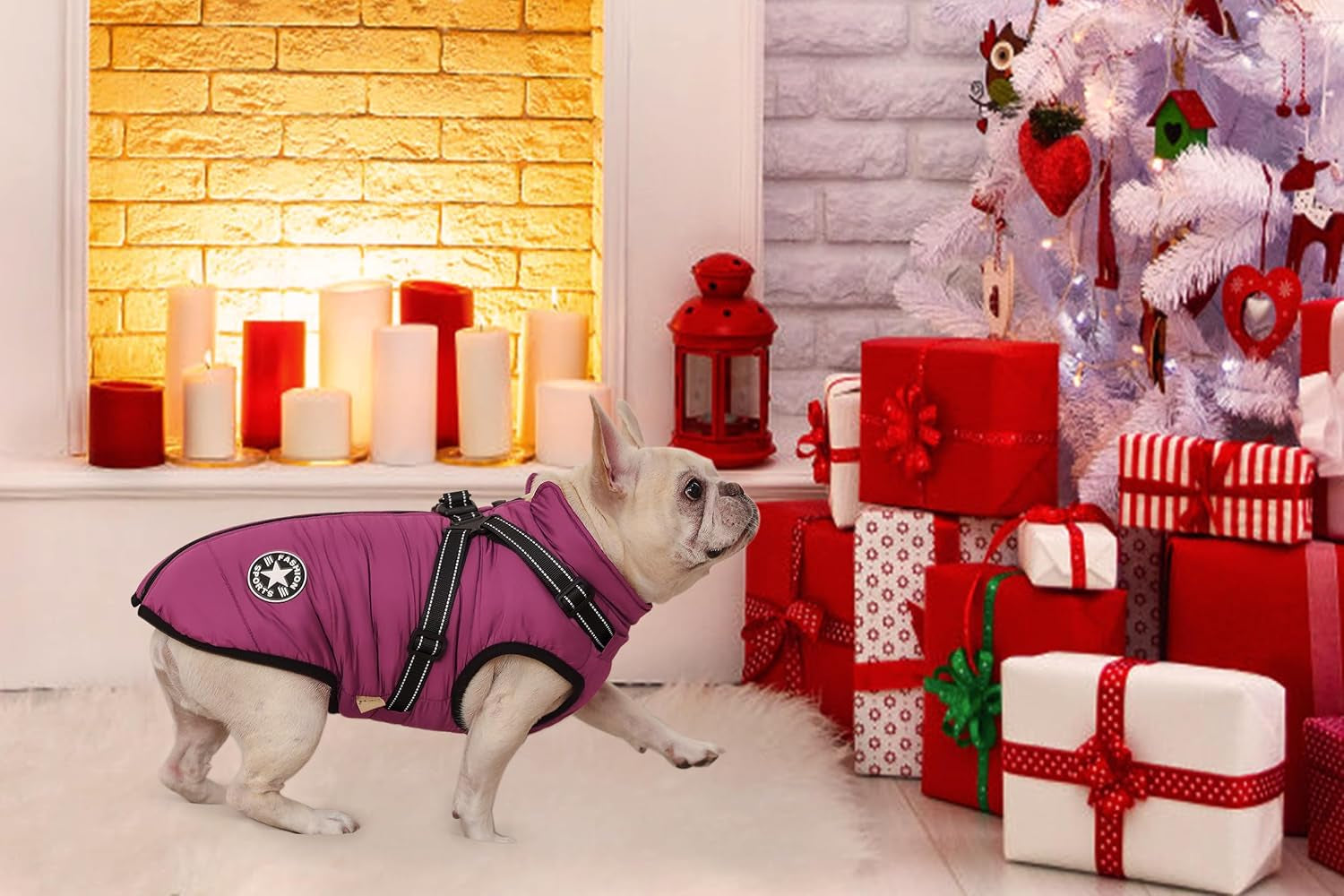 2-in-1 Windproof and Waterproof Dog Jacket for Winter - Cold Weather Coat with Harness, Purple, Size S