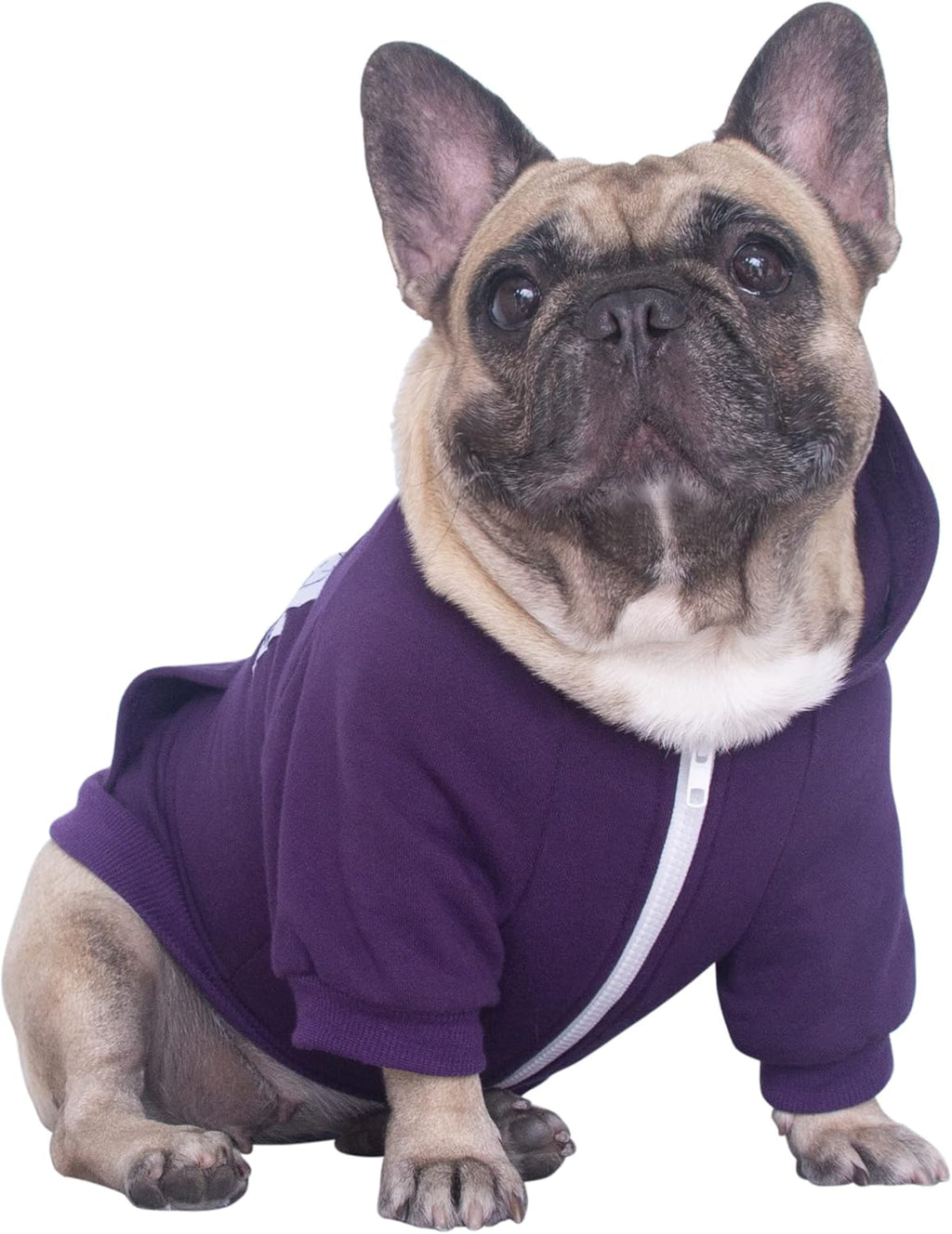Dark Purple Zipper Hoodie for French Bulldogs - Large Plus Size
