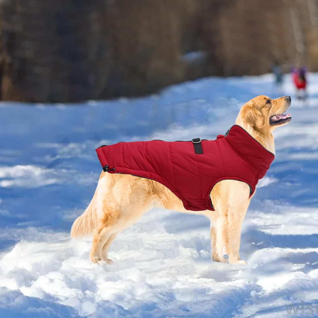Winter Dog Coat - Windproof and Snowproof Outdoor Jacket for Small to Large Dogs - Red