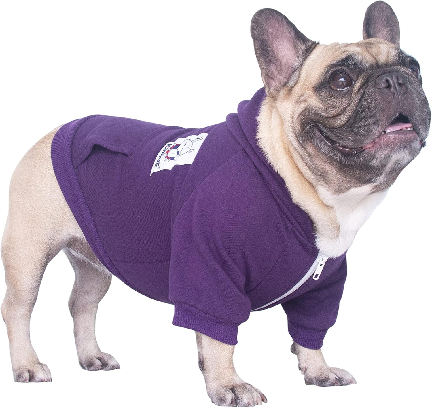 Dark Purple Zipper Hoodie for French Bulldogs - Large Plus Size
