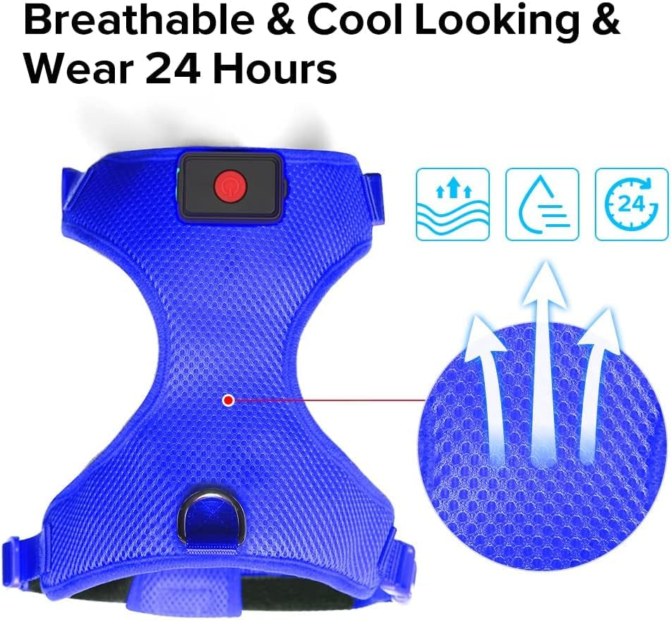 LED Dog Harness, Lighted up USB Rechargeable Pet Harness, Illuminated Reflective Glowing Dog Vest Adjustable Soft Padded No-Pull Suit for Small, Medium, Large Dogs (Blue, L)