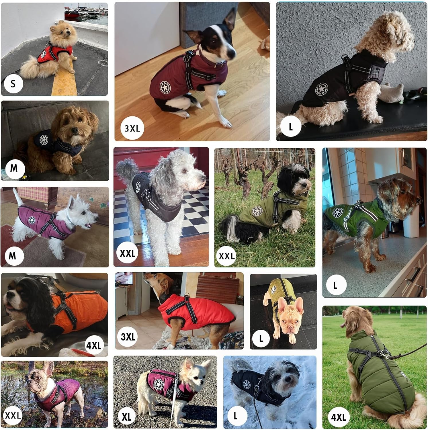 2-in-1 Windproof and Waterproof Dog Jacket for Winter - Cold Weather Coat with Harness, Purple, Size S
