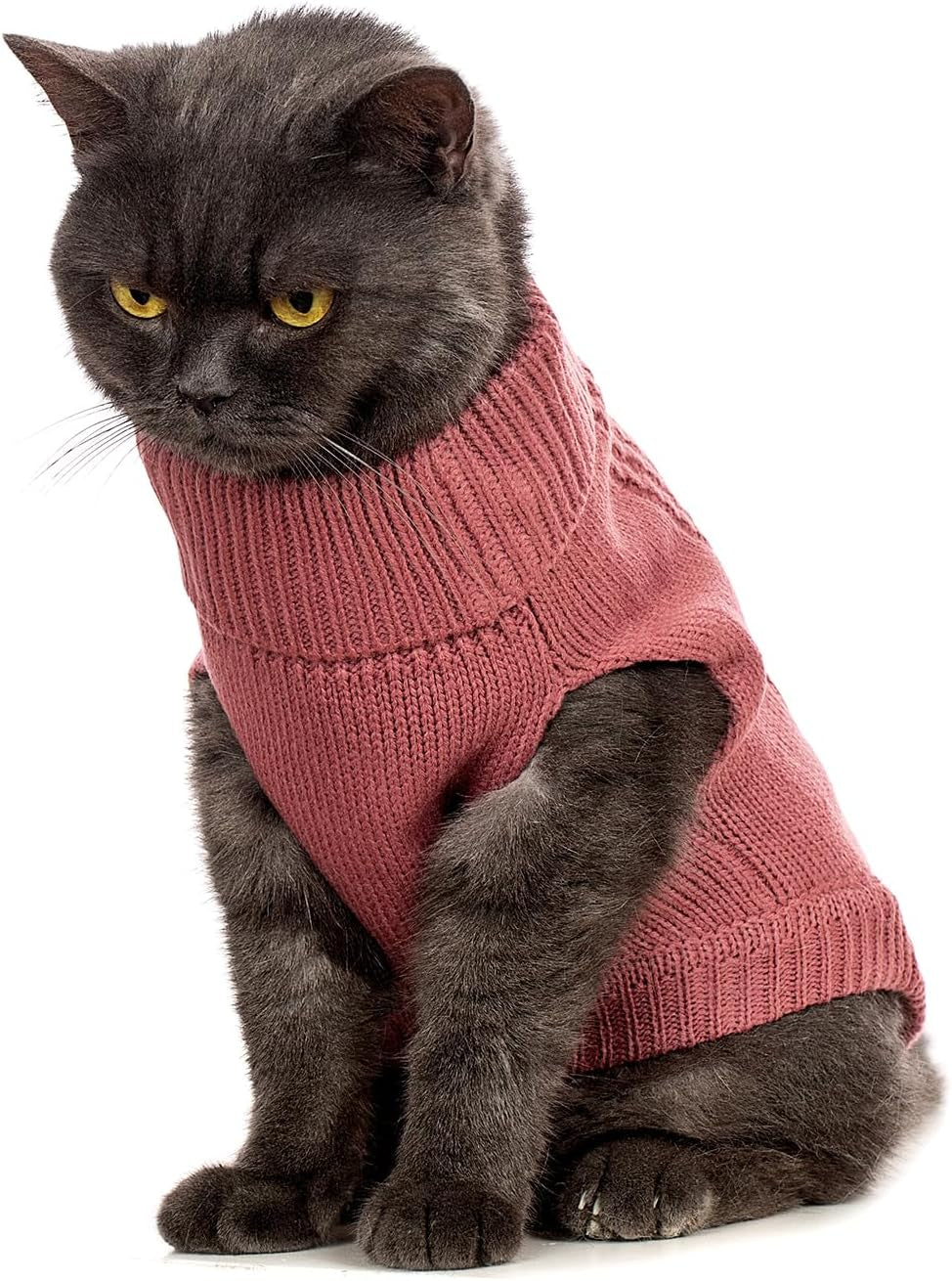 Stretchy Cat Sweater - Available in 19 Colors and 6 Sizes for a Cozy Winter Outfit for Cats and Dogs