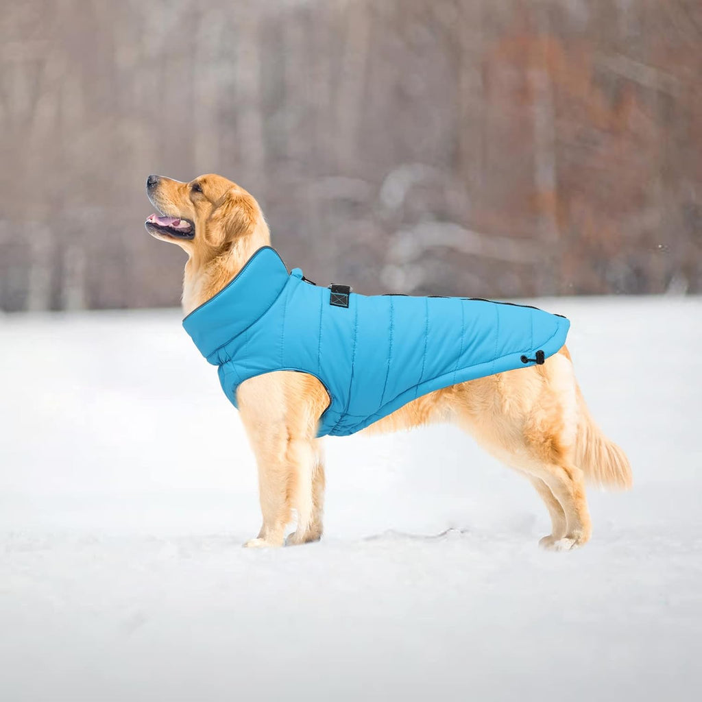 Windproof and Snowproof Winter Coat for Dogs - Outdoor Jacket in Blue for Small, Medium, and Large Breeds - Size M