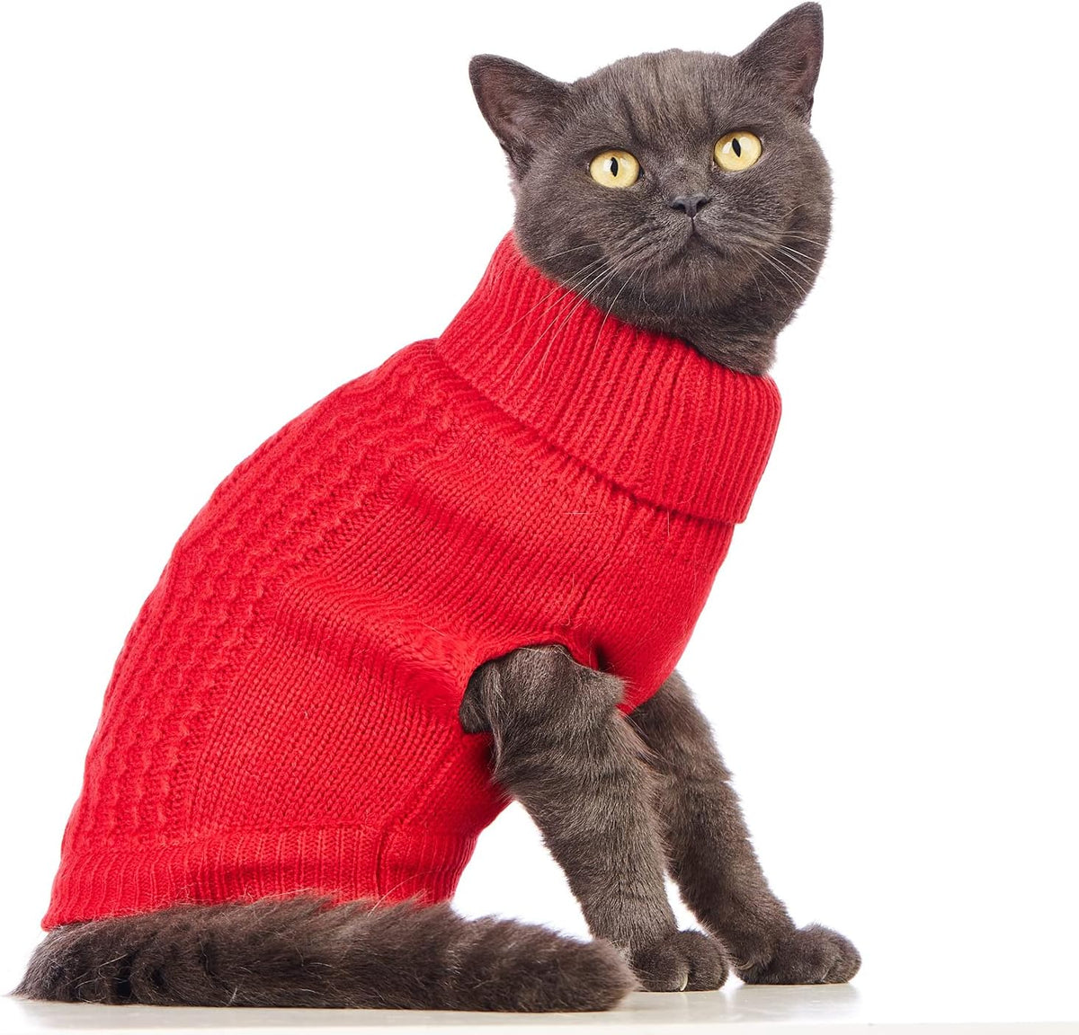 Stretchy Cat Sweater - Available in 19 Colors and 6 Sizes for a Cozy Winter Outfit for Cats and Dogs
