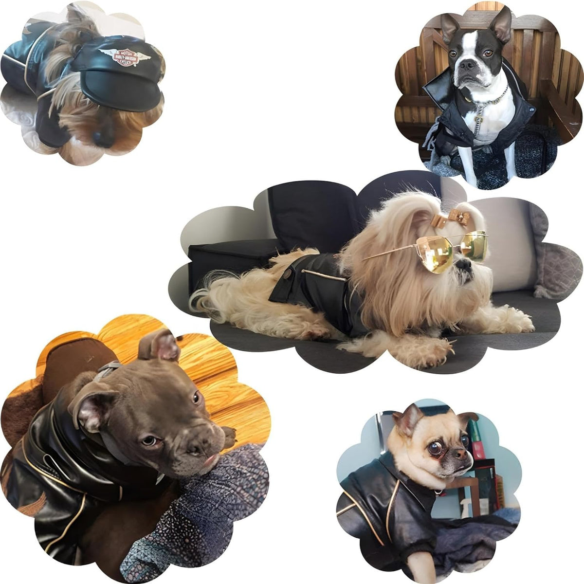 Dog Winter Coat - PU Leather Motorcycle Jacket for Pets, Waterproof (Size S)