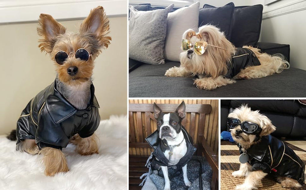 Dog Winter Coat - PU Leather Motorcycle Jacket for Pets, Waterproof (Size S)