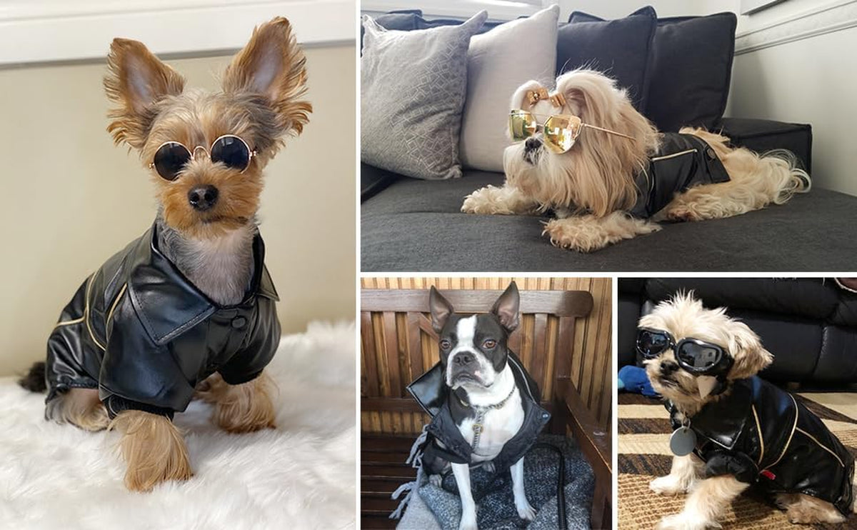 Dog Winter Coat - PU Leather Motorcycle Jacket for Pets, Waterproof (Size S)