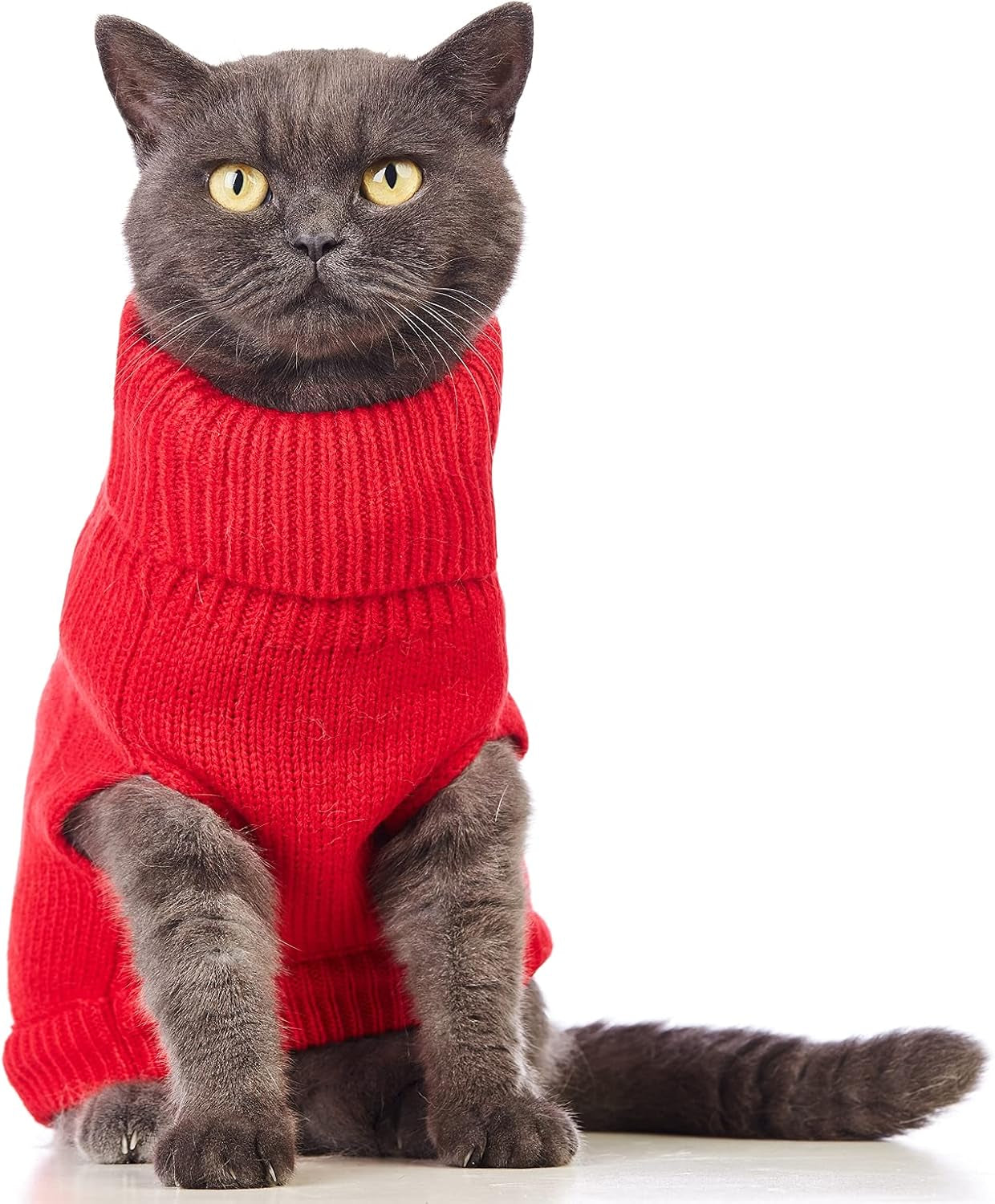 Stretchy Cat Sweater - Available in 19 Colors and 6 Sizes for a Cozy Winter Outfit for Cats and Dogs