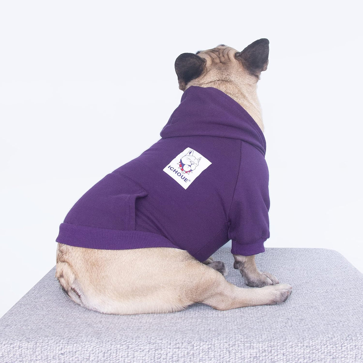 Dark Purple Zipper Hoodie for French Bulldogs - Large Plus Size