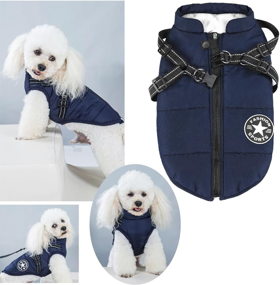 2-in-1 Windproof and Waterproof Dog Jacket for Winter - Cold Weather Coat with Harness, Small Blue L