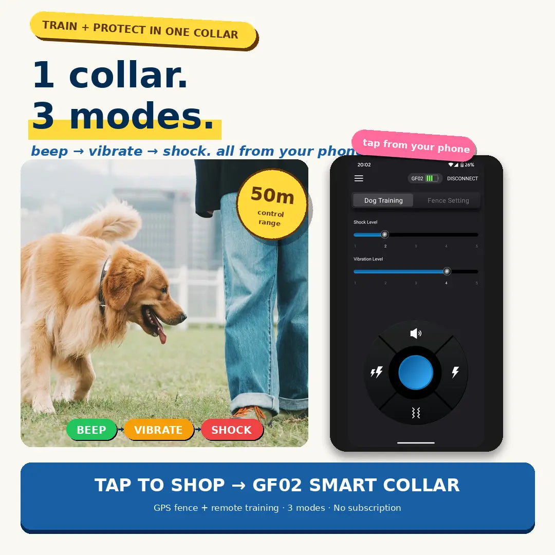 Gf02E-Gps Dog Fence, Wireless Dog Fence with No Subscription, Virtual Dog Containment System with Customizable Boundary, 2-In-1 Training Collar, Waterproof & Rechargeable for Medium Large Dogs Outdoorfun
