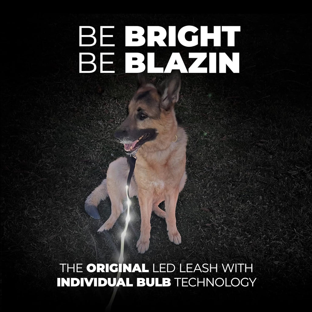 Light up Dog Leash - 1,000 Feet of Visibility - USB Rechargeable Waterproof Glow in the Dark Dog Leash - 4 Foot, Purple
