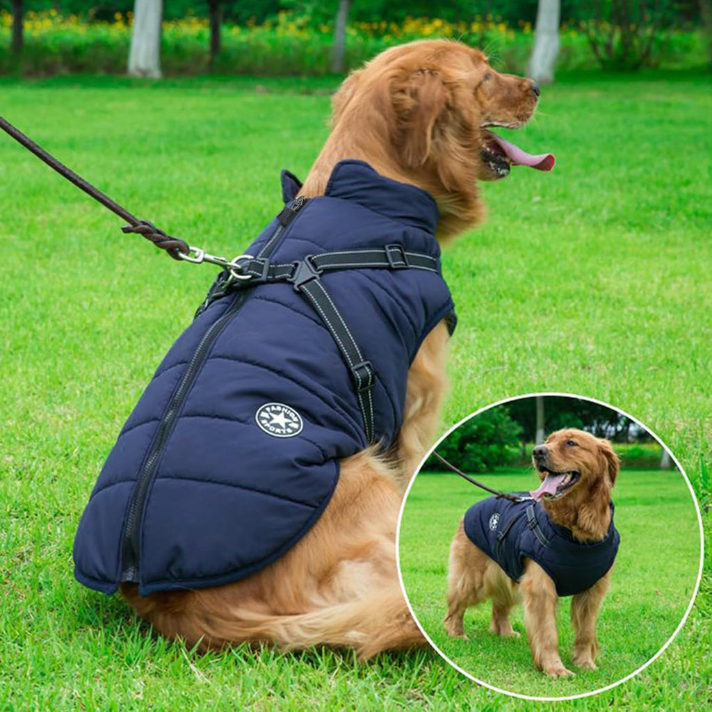 2-in-1 Windproof and Waterproof Dog Jacket for Winter - Cold Weather Coat with Harness, Small Blue L